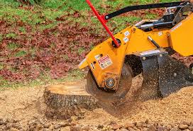 Lawn Renovation and Restoration in Palos Park, IL